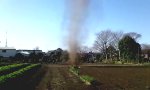Lustiges Video : Gemüsebeet-Tornado