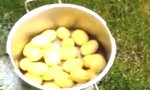 Lustiges Video : Kartoffeln schälen leicht gemacht
