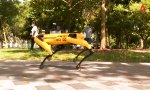 Funny Video : Robo-Cop-Dog sorgt für Sicherheit in Singapur
