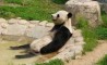 Fun Pic - Donnerstags Fun PicDump #8 - 55