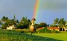 Fun Pic - Die andere Seite des Regenbogens - 12