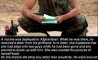 Fun Pic - Donnerstags Fun PicDump #14 - 51