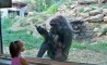 Fun Pic - Donnerstags Fun PicDump #20 - 74