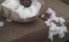Fun Pic - Donnerstags Fun PicDump #21 - 33