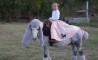 Fun Pic - Donnerstags Fun PicDump #22 - 24