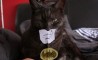 Fun Pic - Donnerstags Fun PicDump #33 - 1