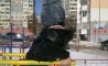 Fun Pic - Donnerstags Fun PicDump #33 - 37