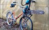 Fun Pic - Donnerstags Fun PicDump #33 - 97