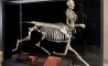 Fun Pic - Donnerstags Fun PicDump #47 - 106