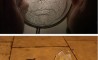 Fun Pic - Donnerstags Fun PicDump #47 - 134