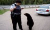 Fun Pic - Donnerstags Fun PicDump #47 - 22