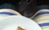 Fun Pic - Donnerstags Fun PicDump #66 - 147