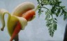 Fun Pic - Donnerstags Fun PicDump #68 - 118