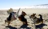Fun Pic - Donnerstags Fun PicDump #93 - 117