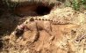 Fun Pic - Donnerstags Fun PicDump #93 - 81