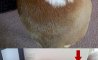 Fun Pic - Donnerstags Fun PicDump #104 - 40
