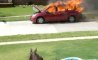 Fun Pic - Donnerstags Fun PicDump #105 - 107