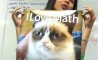 Fun Pic - Donnerstags Fun PicDump #113 - 106