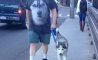 Fun Pic - Donnerstags Fun PicDump #115 - 115
