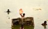 Fun Pic - Donnerstags Fun PicDump #115 - 123