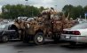 Fun Pic - Donnerstags Fun PicDump #118 - 37