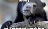 Fun Pic - Donnerstags Fun PicDump #121 - 22