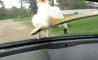 Fun Pic - Donnerstags Fun PicDump #121 - 34