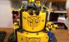 Fun Pic - Donnerstags Fun PicDump #121 - 38