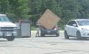 Fun Pic - Donnerstags Fun PicDump #121 - 42