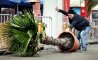 Fun Pic - Donnerstags Fun PicDump #121 - 94