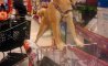 Fun Pic - Donnerstags Fun PicDump #127 - 110