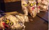Fun Pic - Donnerstags Fun PicDump #127 - 141