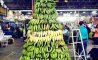 Fun Pic - Donnerstags Fun PicDump #127 - 142