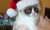 Fun Pic - Donnerstags Fun PicDump #129 - 18