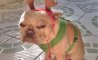 Fun Pic - Donnerstags Fun PicDump #129 - 26