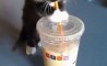 Fun Pic - Donnerstags Fun PicDump #132 - 107