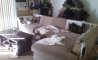 Fun Pic - Donnerstags Fun PicDump #136 - 78