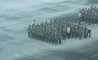 Fun Pic - Donnerstags Fun PicDump #138 - 124