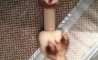 Fun Pic - Donnerstags Fun PicDump #138 - 140