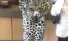 Fun Pic - Donnerstags Fun PicDump #138 - 168