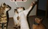 Fun Pic - Donnerstags Fun PicDump #138 - 68