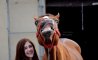 Fun Pic - Donnerstags Fun PicDump #140 - 102