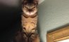 Fun Pic - Donnerstags Fun PicDump #140 - 98