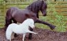 Fun Pic - Donnerstags Fun PicDump #141 - 113