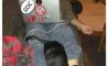 Fun Pic - Donnerstags Fun PicDump #141 - 13