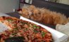 Fun Pic - Donnerstags Fun PicDump #142 - 121