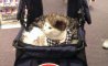 Fun Pic - Donnerstags Fun PicDump #143 - 39
