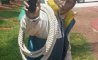 Fun Pic - Donnerstags Fun PicDump #143 - 47