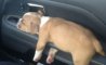 Fun Pic - Donnerstags Fun PicDump #143 - 79