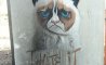 Fun Pic - Donnerstags Fun PicDump #143 - 99
